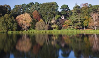 Mount Stewart Lake Walk