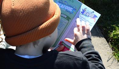 Northern Ireland Seafood Trails