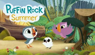 Puffin Rock Summer