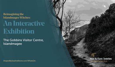 Witches of Islandmagee marketing graphic
