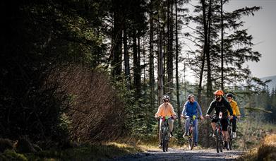 Group on electric bikes on a trail enjoying the Electric Escape experience with Corralea Adventure Centre