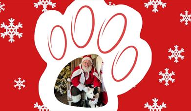 Santa with a dog