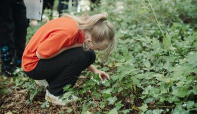 Sensory Nature Walk at the Ulster Folk Museum
