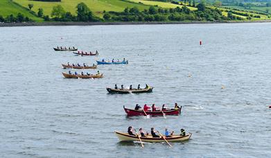 St Ayles Skiffs on Strangford Lough at Delamont Country Park. 