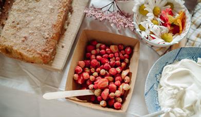 Summer foraging spread at the Ulster Folk Museum workshop