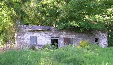 Cottage ruin