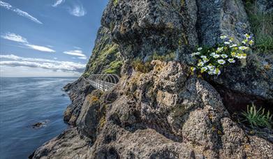 A view of the tubular bridge with flowers on the rock face and the ocean beyond.