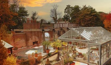 The Rabbit Hotel & Retreat