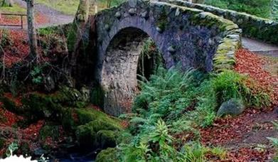 Foleys Bridge 