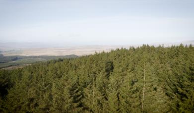 Area view of forest and landscape within Sperrin Mountains