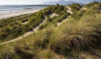 Tyrella Beach