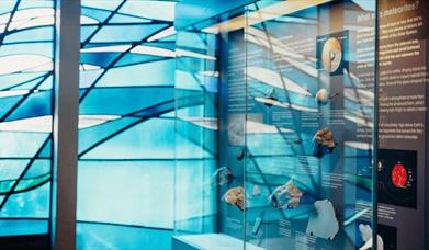 Natural Science Galleries at Ulster Museum 