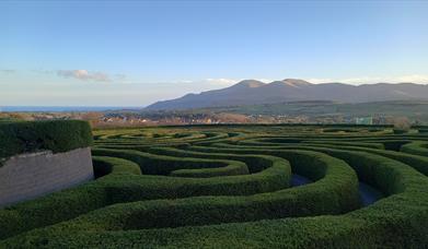 Castlewellan Peace Maze