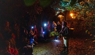 Storytelling in Slieve Gullion Forest Park at Footsteps in the Forest.