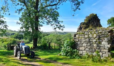 Ferguson Tractor in front of old farm building