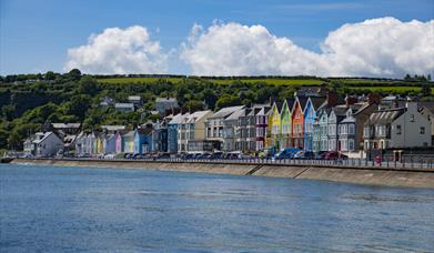 Whitehead Summer Festival 2025