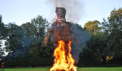 Wickerman, Navan Centre & Fort