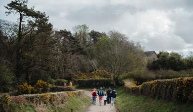 Wildlife Walks at the Ulster Folk Museum