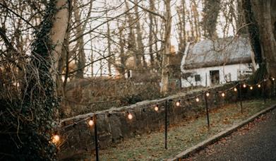 Winter Foraging at Ulster Folk Museum