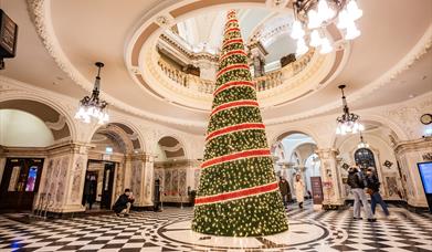 Christmas has arrived at Belfast city hall