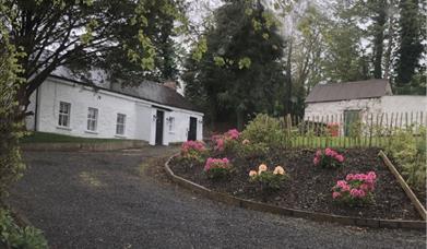 Image is of front of white washed cottage with gravel drive and area planted with rose bushes with lots of trees around the cottage