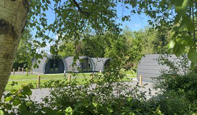 Glamping at Share Discovery Village