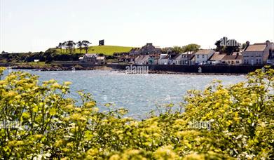 Directly overlooking Killough bay