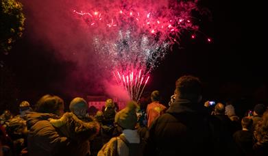 Fireworks display in front of a crowd of people