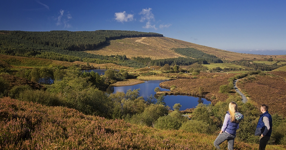 County Tyrone Destinations Discover Northern Ireland