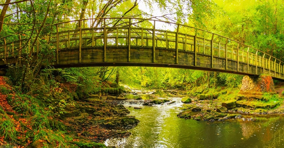 Clare Glen - Craigavon - Discover Northern Ireland