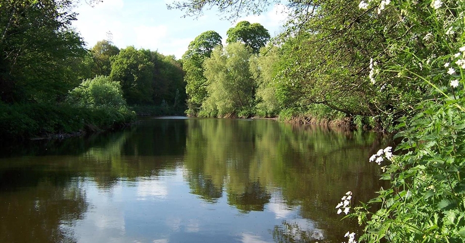 Minnowburn - Belfast - Discover Northern Ireland