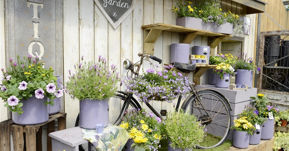 Creative Gardens at Donaghadee Garden Centre - Donaghadee - Discover ...