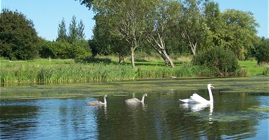 Craigavon Lakes - - Discover Northern Ireland