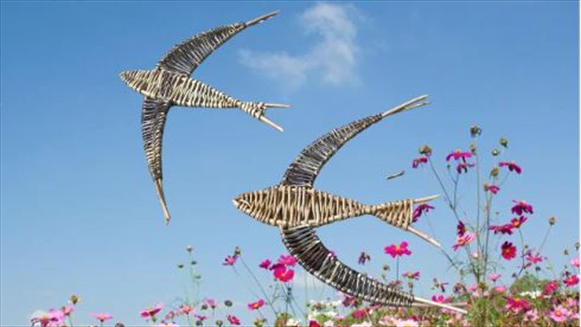 Weave Willow Swallows and Swifts in the Walled Garden