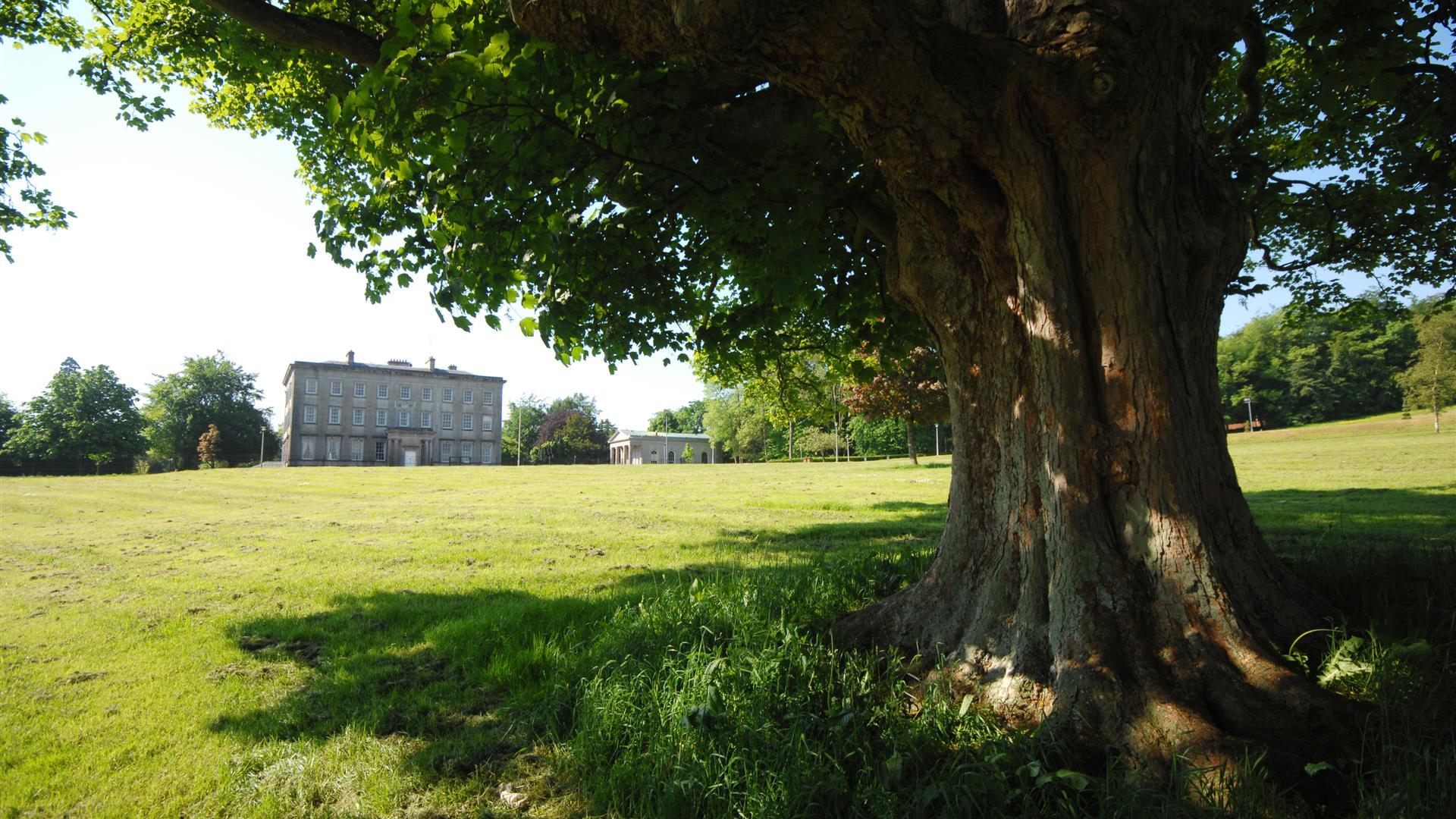 The Palace Demesne Public Park