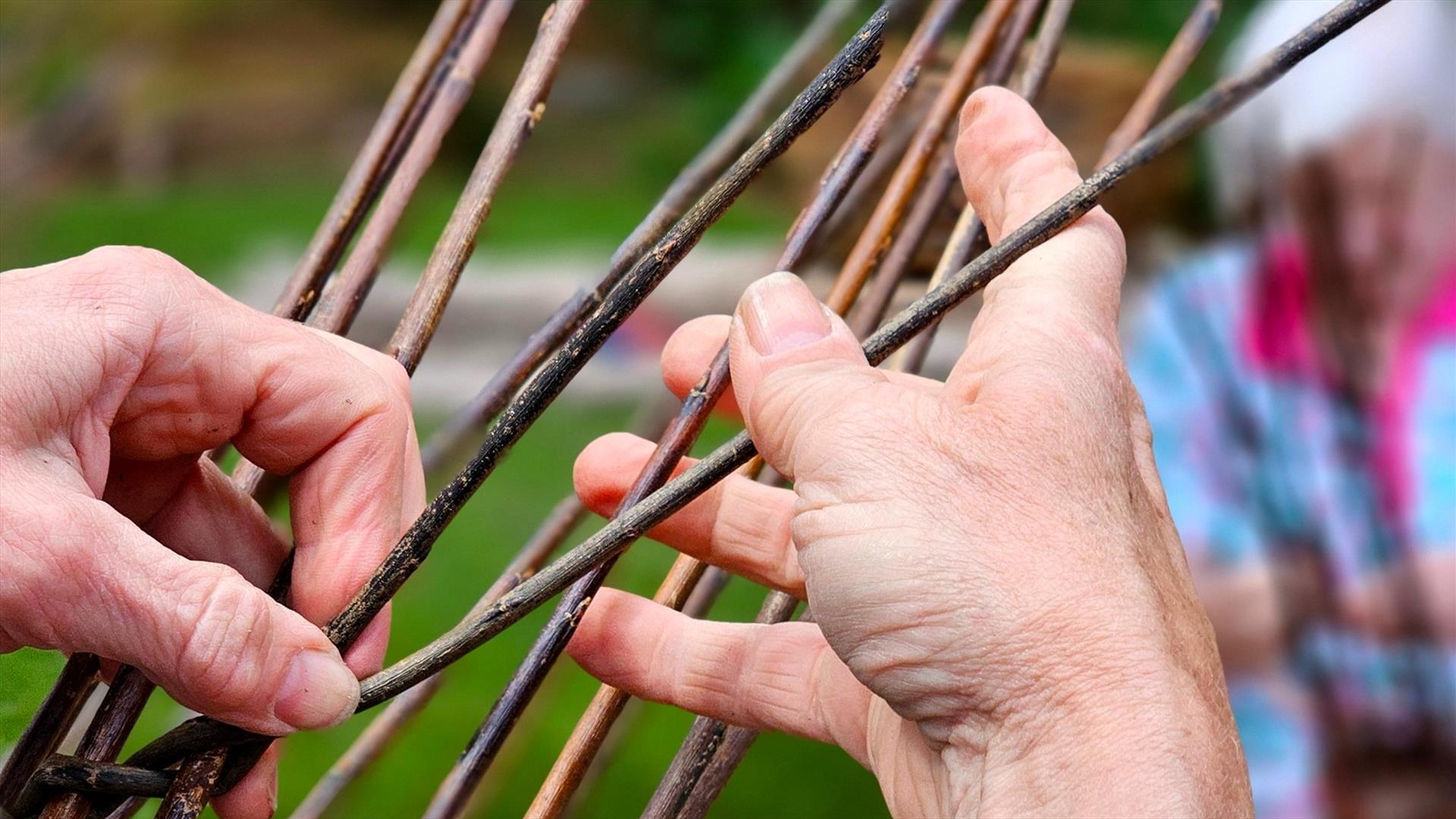 Weave a Willow Flower Support in the Walled Garden