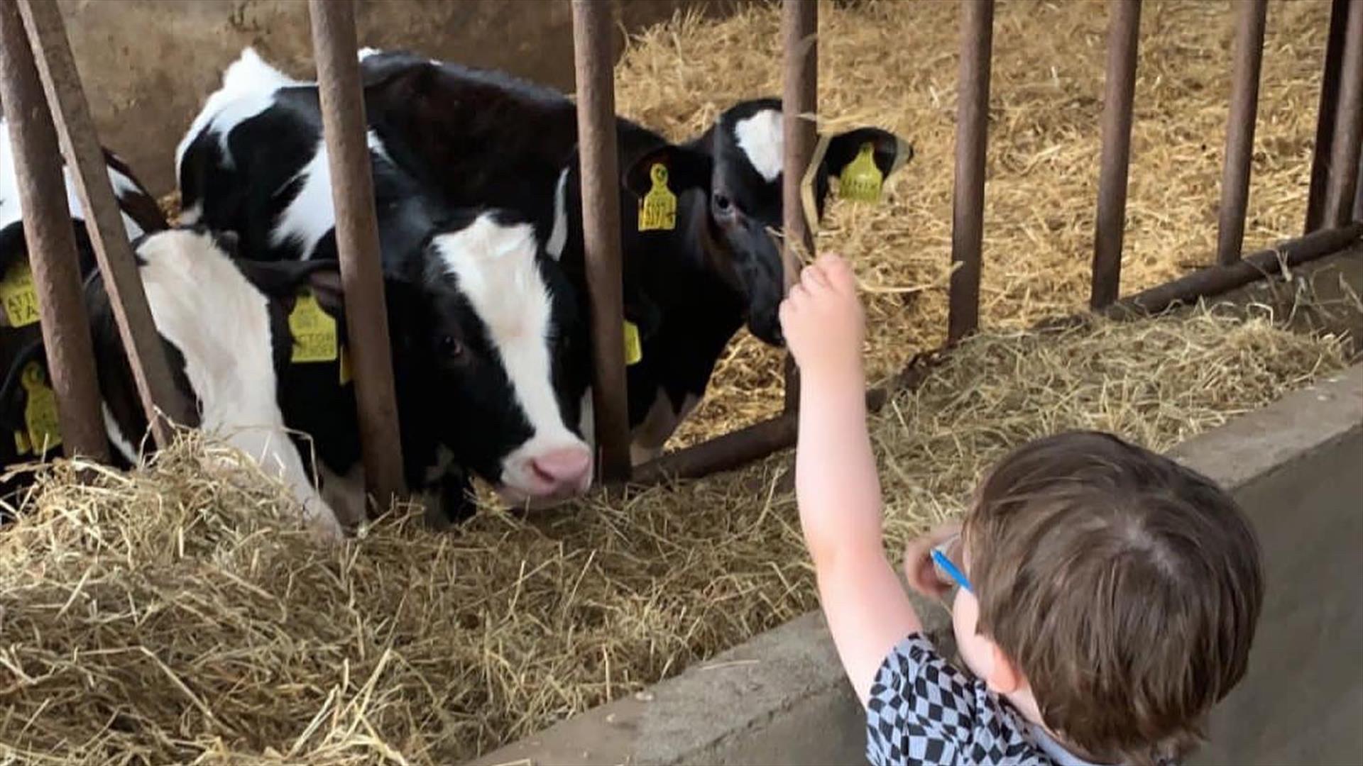 Bank of Ireland Open Farm Weekend