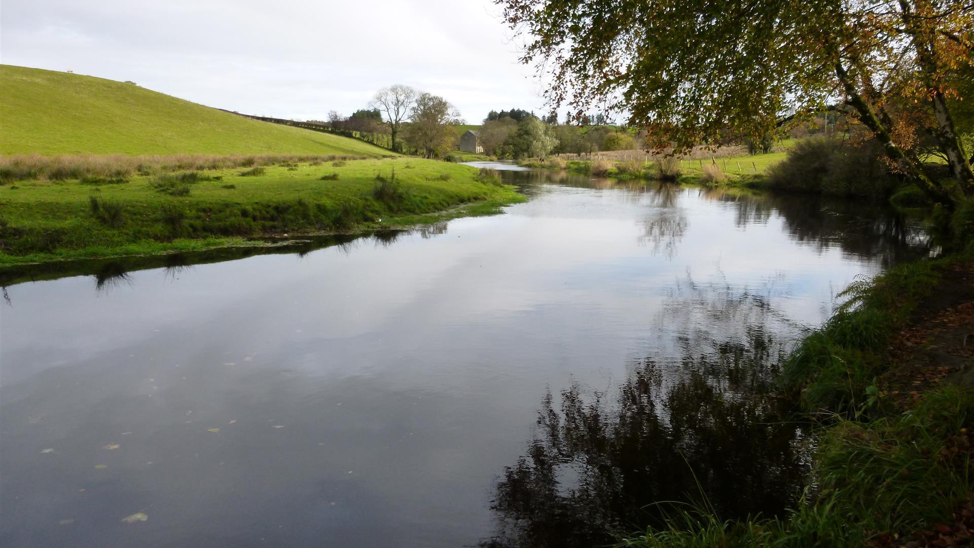 Game Fishing On The Foyle System