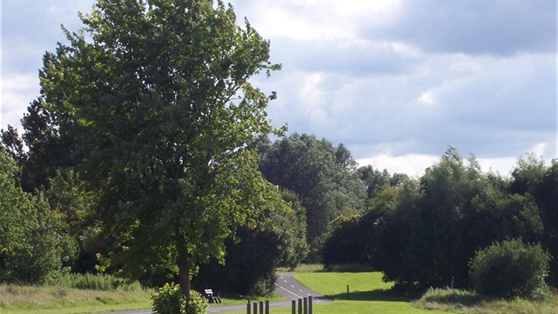 Craigavon Lakes