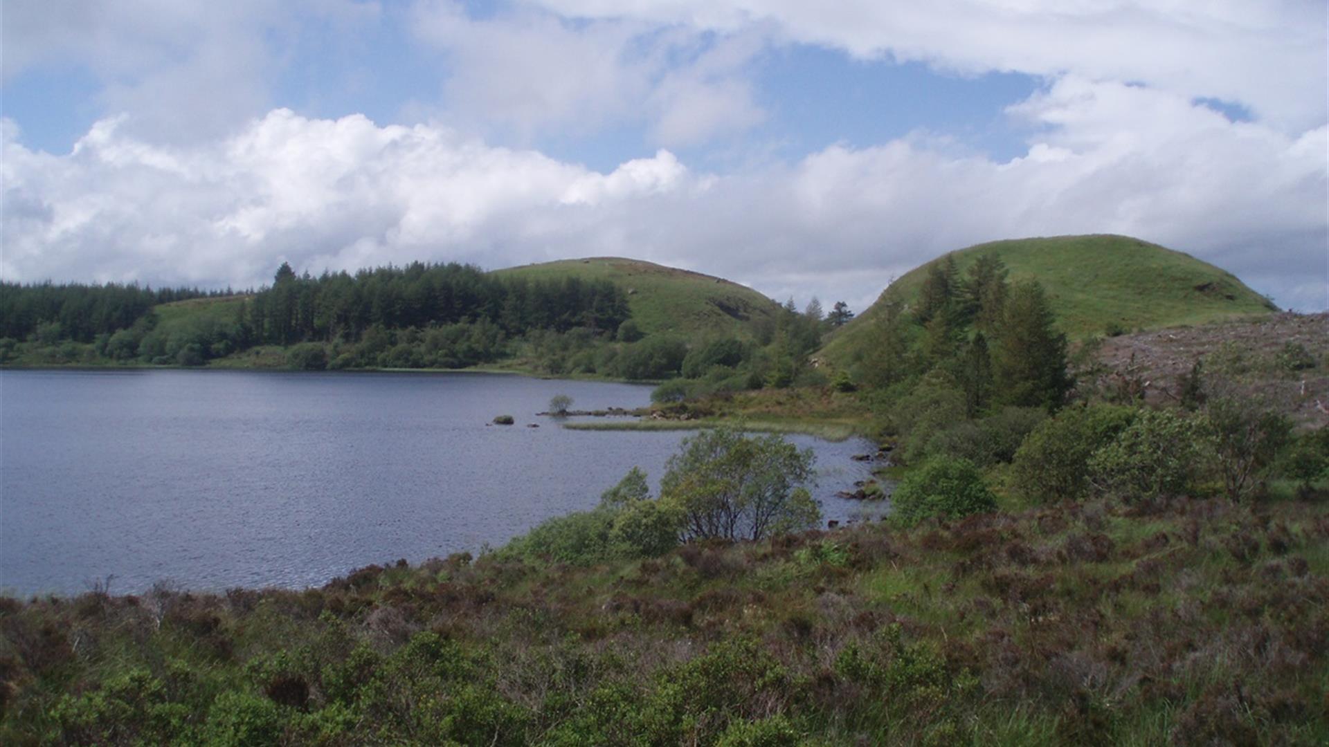 Carrigan Forest: Lough Formal Walk