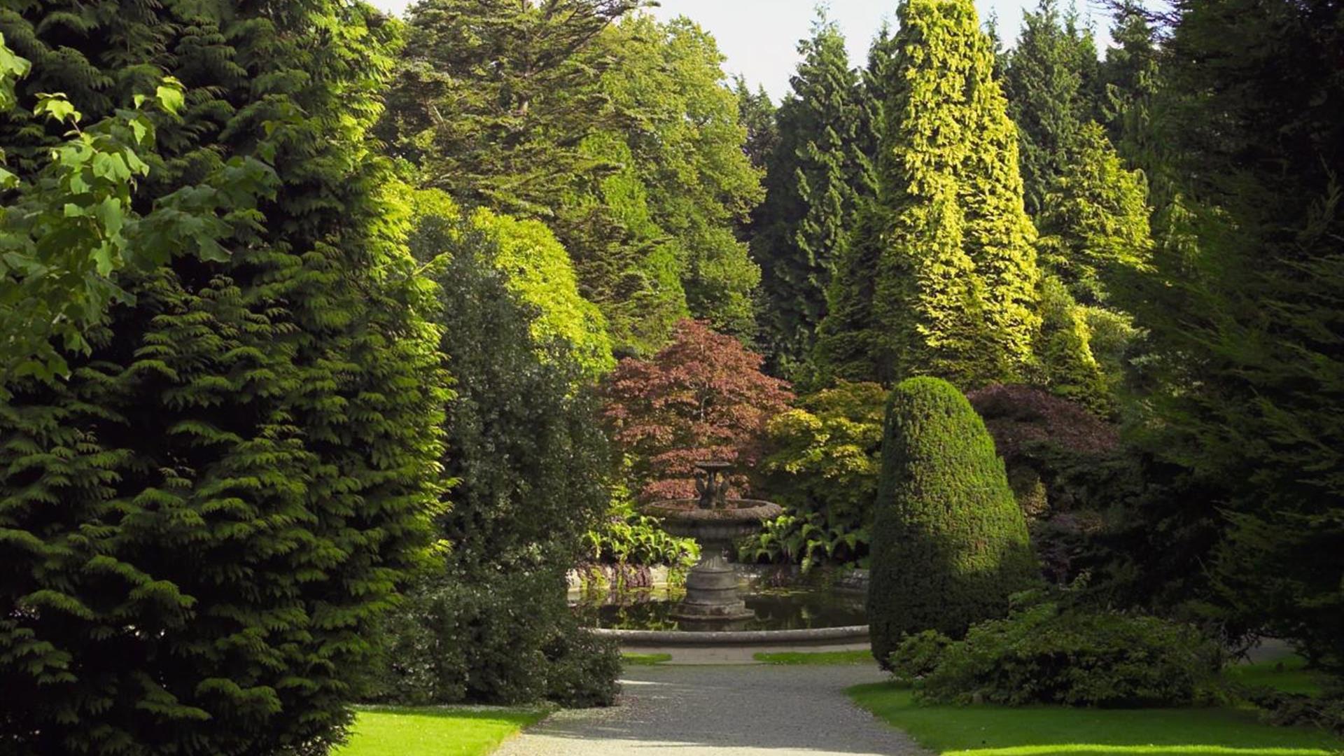 View of the Annesley Walk in Castlewellan Forest Park