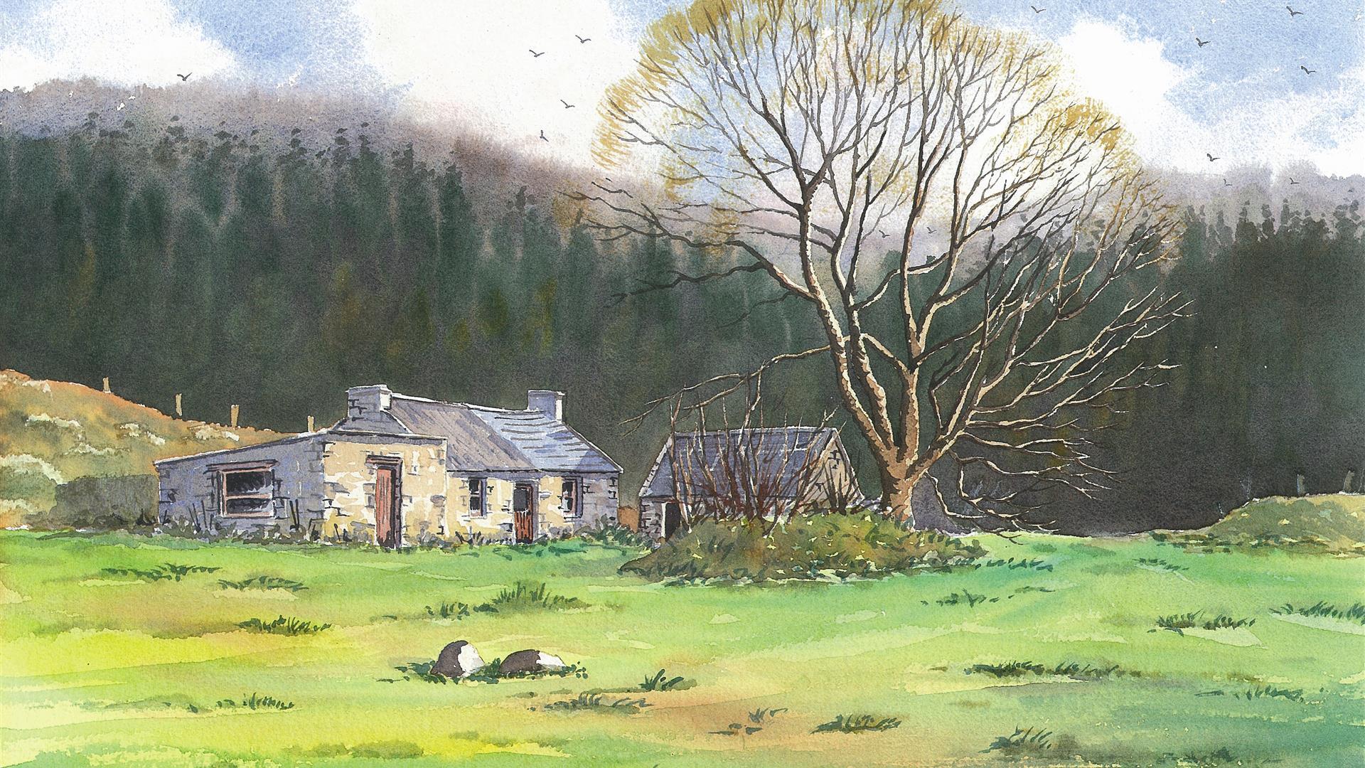 Painting Breaks With Dermot Cavanagh Moy Discover Northern Ireland