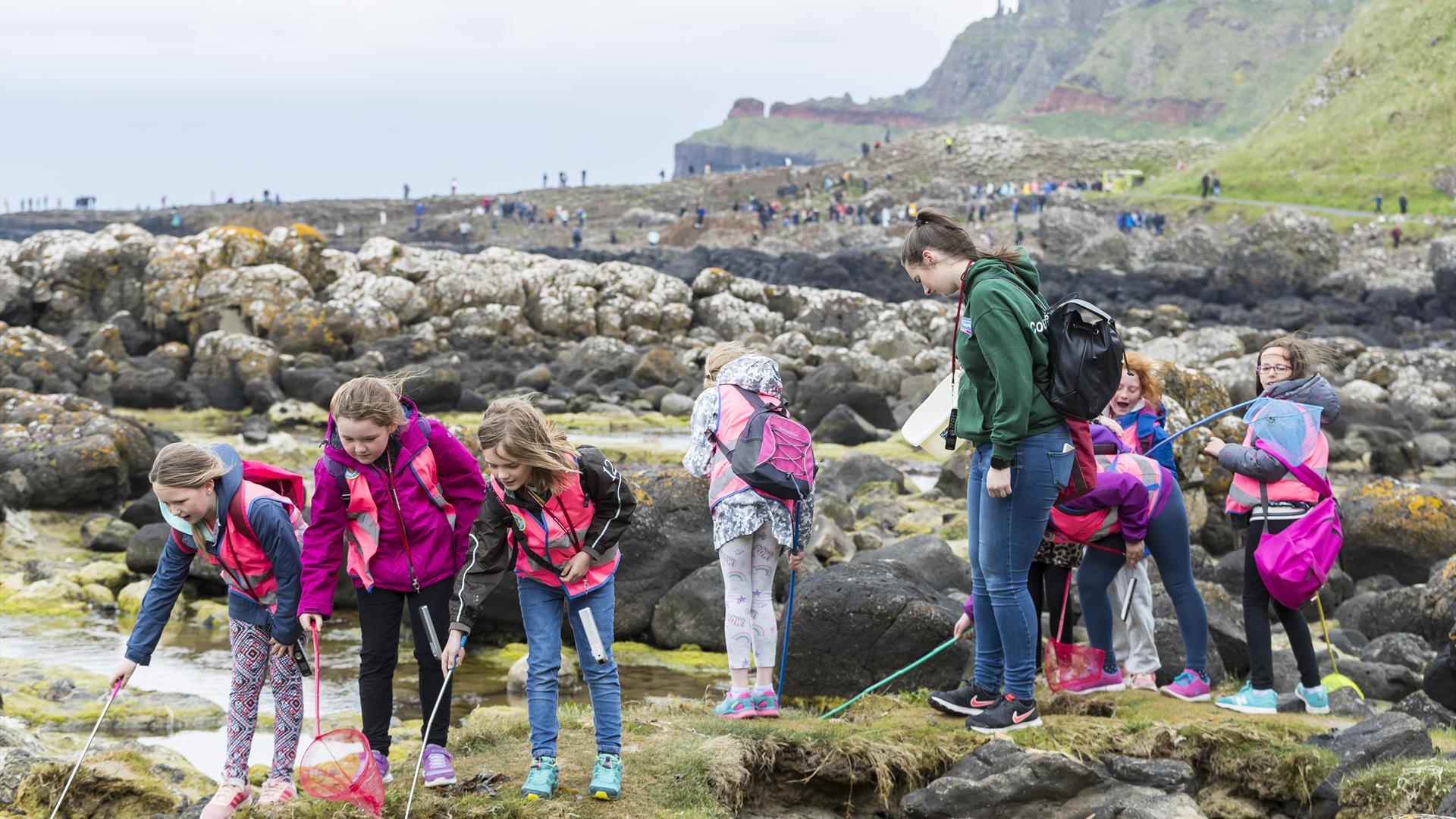 Rockpoolings in the bays of Port Ganny at the Giant's Causeway