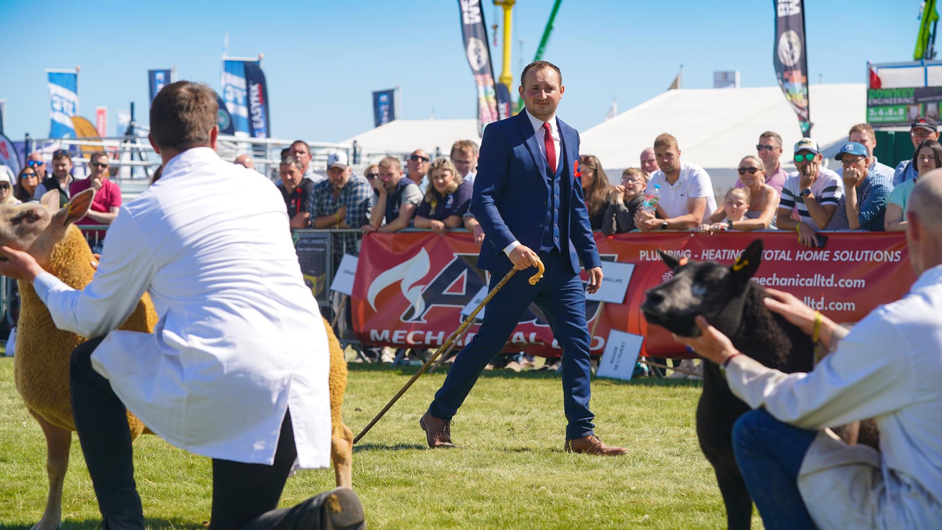 Judge makes his way down the line of sheep exhibitors in the ring at the Balmoral Show.