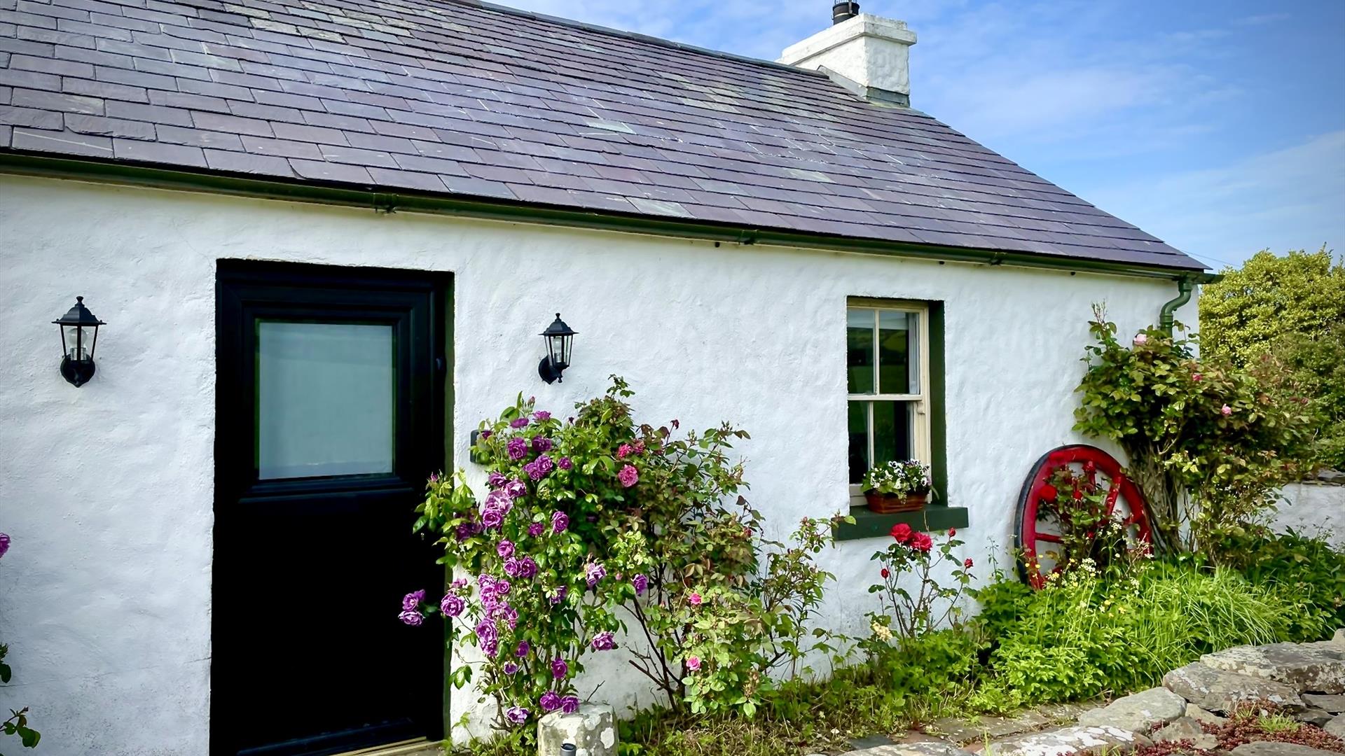Dunnaglea Cottage taken from the front left. The one-storey cottage has a half-leaf front door, and has rose bushes outside.