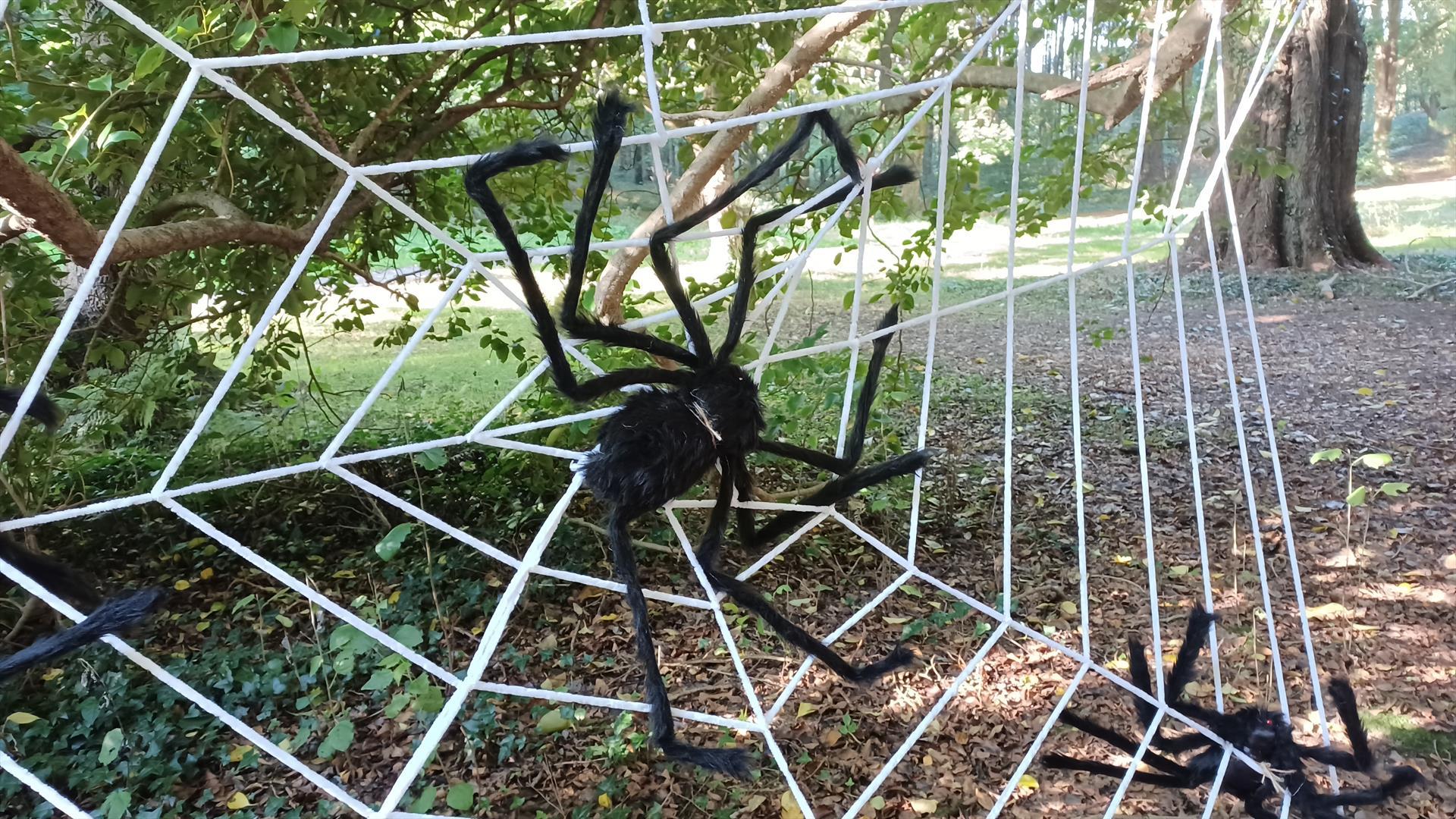 Halloween fun at Mount Stewart