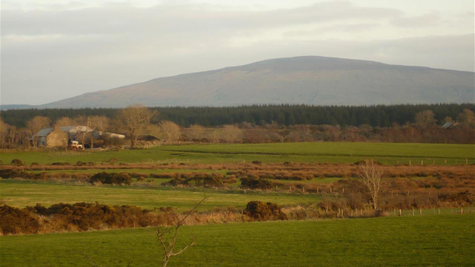 Maghernahar House