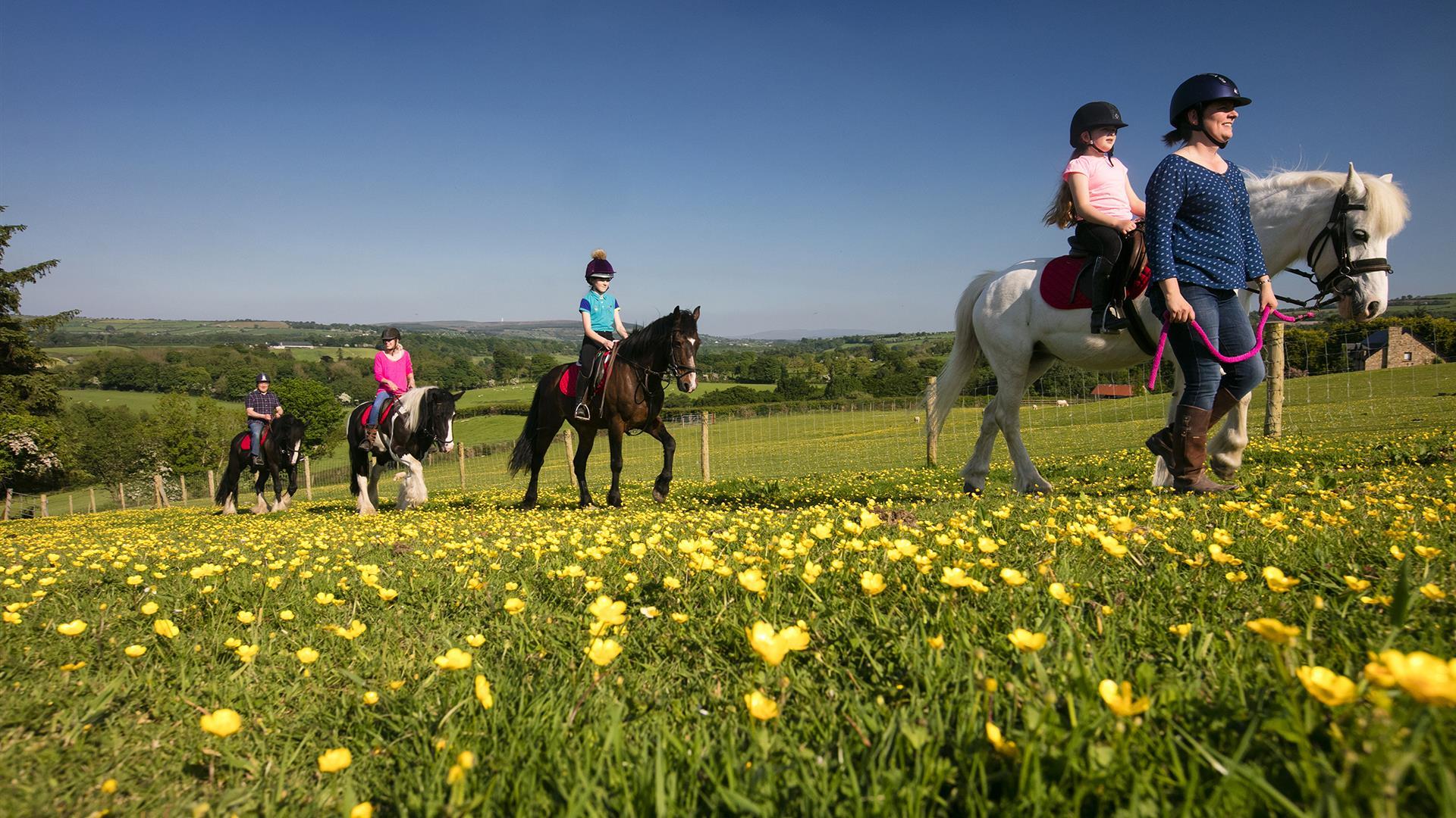 City Of Derry Equestrian Centre Ardmore Discover Northern Ireland
