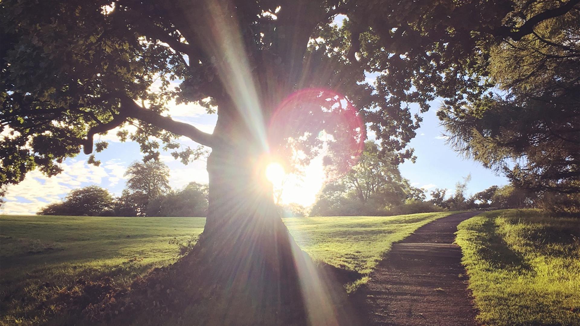 Barnett Demesne