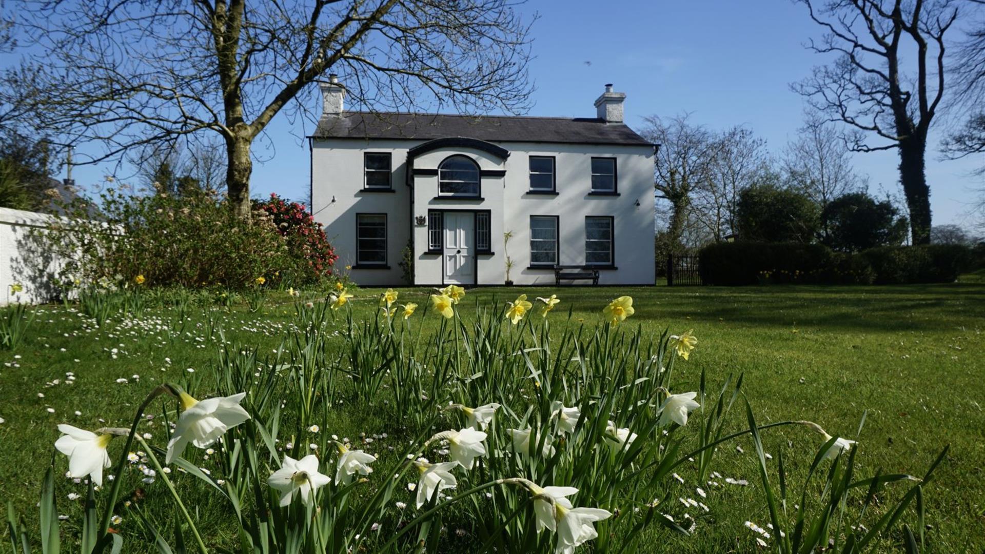 Image shows front of property with large lawn and daffodils in the foreground